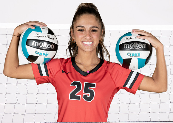 Isolated Volleyball Net on the white background