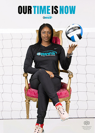Isolated Volleyball Net on the white background